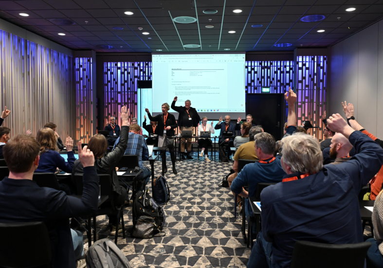 Representantskapsmøte