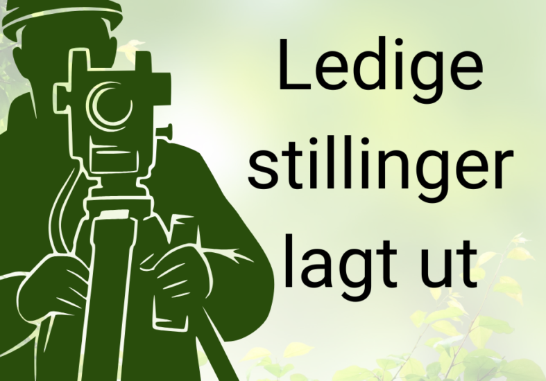 Mange nye stillingsannonser er lagt ut