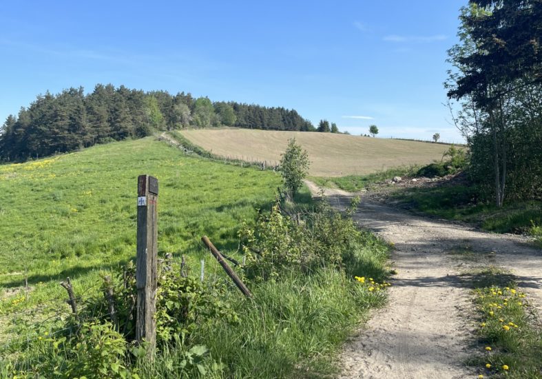 Turistforeininga krev full «planvask» i norske kommunar